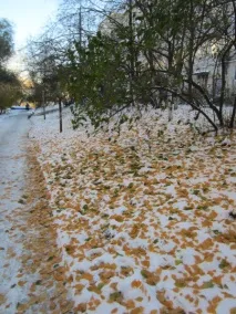 Мій настрій ненароком