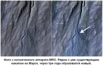 незвичайні
