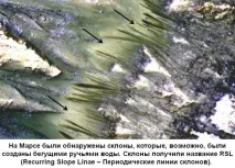 марсі