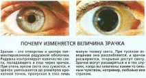 Обкурені очі наркомана якісь зіниці якісь