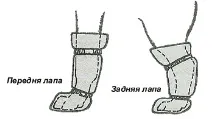 взуття