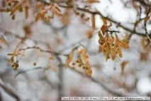 Canon EOS 600D Canon