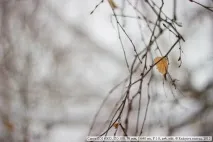 Canon EOS 600D 600d