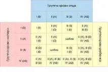 Визначення батьківства визначення