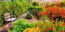 Осінні квіти в саду назви основних видів та сортів рослин з фото квіти