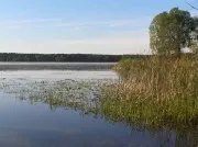 Озеро Яльчик - Природа, водоймища, водосховища, затони, ставки, озера, Волзький район озеро