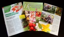 Овочі на електриці, електрогрядка, стимулятор росту рослин, висока грядка, електро грядка, овочі