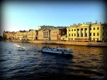 слонів