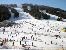 Плай - гірськолижний курорт у Карпатах плай