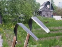 врожаю