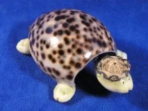 ПОДІЛКИ З РОШУШОК СВОЇМИ РУКАМИ своїми