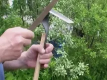 фокіна