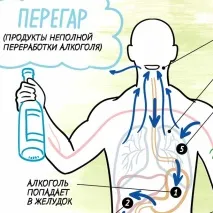 Чому посилюється слиновиділення від випивки Чи не шкідливо після закінчення пиятики багато є Відповідь після