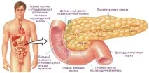 полипи