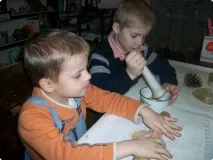 птахів