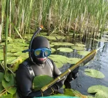 Підводне полювання в очеретах полювання
