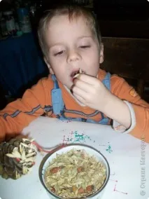 птахів