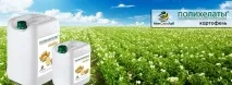 Полихелати - Картопля позакореневе підживлення картопля