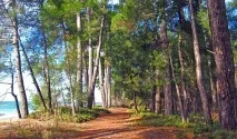 Село Лдзаа Абхазія приватний сектор Лдзаа