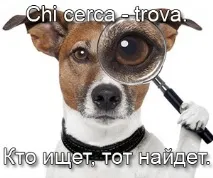 Популярні італійські приказки та прислів’я італійські