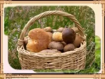 Презентація за технологією та ІЗО - Кошик з грибами - (аплікація); 3 клас - Технологія та ІЗО - грибами
