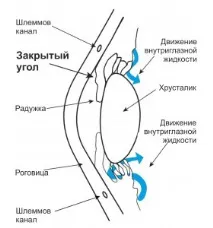 възрастни