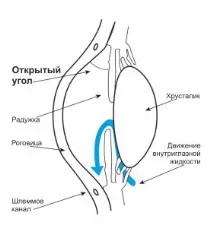 причини