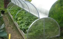 Виробництво та продаж теплиць з полікарбонату теплиць
