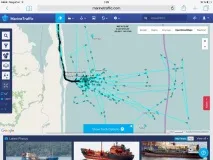 Перегляд проблеми - Компанія Ексон загрожує рідкісним сірим китам у Сахаліну перегляд