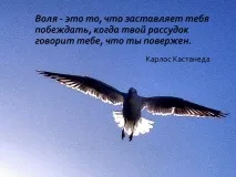 тему