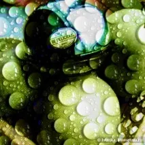 Прямолінійний Dkny Be Delicious від Donna Karan прямолінійний