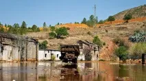 П’ять картин людської дурості біля