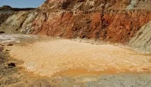 П’ять картин людської дурості людської
