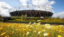 10 цікавих фактів про Літні Олімпійські ігри 2012 ігри