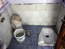 15 самих… туалетних фактів про те, як справляють потребу в різних країнах туалетних