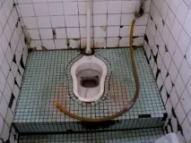 15 самих… туалетних фактів про те, як справляють потребу в різних країнах самих
