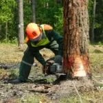 Рейтинг небезпечних професій в Україні список шкідливих для здоров’я робіт, ПРОфінанси професій