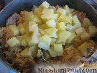 капуста