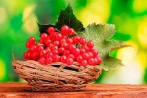 Рецепт приготування калини з медом калини