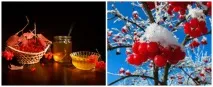 Рецепт приготування калини з медом медом