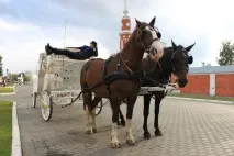 Романтична подорож Коломенським кремлем у вишуканій кареті! романтична