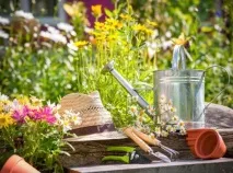 Grădinărit și horticultură pentru începători