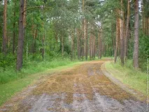 Саласпілський меморіал саласпілський