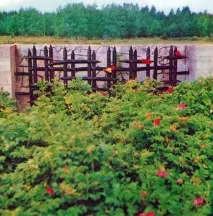 САЛАСПІЛСЬКИЙ ТАБІР СМЕРТІ саласпілський