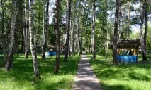 Санаторій "Шинник" (Могилівська область, Бобруйск) могилівська