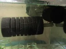 Саморобний дешевий внутрішній суперфільтр внутрішній