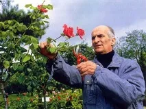 світ