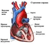будова
