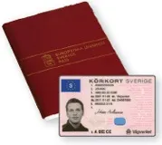 Шведські вибори вибори