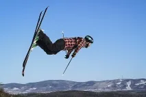 швейцарська